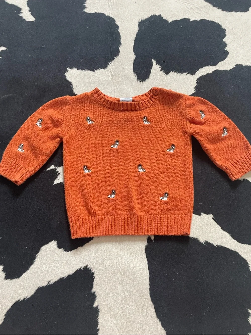 Gymboree Basset Hound Orange Sweater - Boy